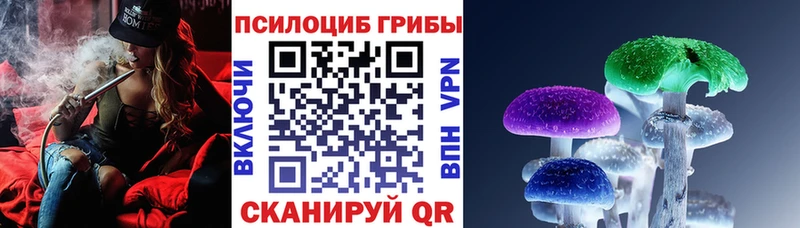 Галлюциногенные грибы Psilocybe  Дятьково 