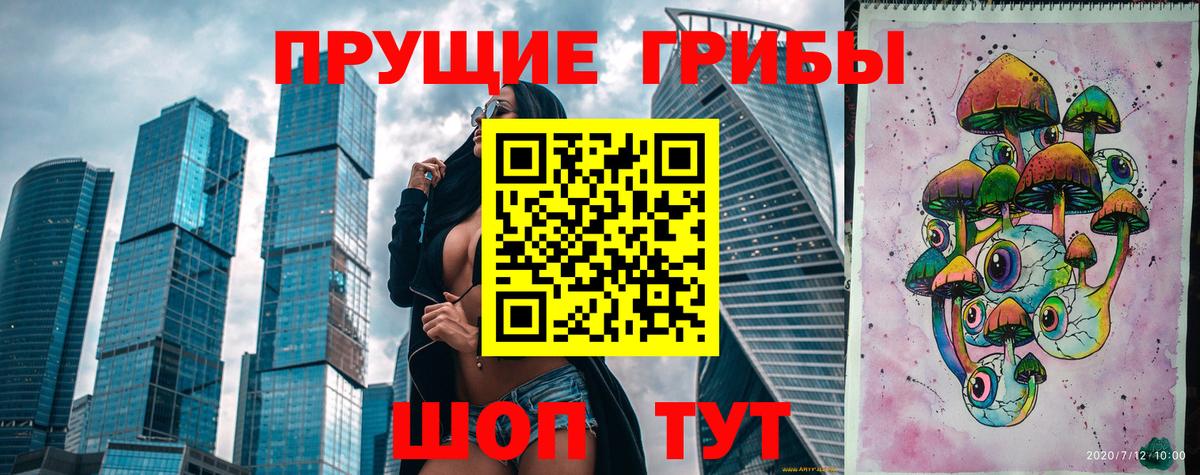 Псилоцибиновые грибы GOLDEN TEACHER Дятьково