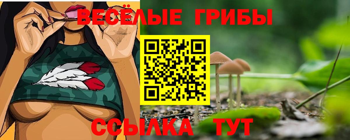 Псилоцибиновые грибы Psilocybe  Псилоцибиновые грибы Cubensis  Вход с VPN  Дятьково 